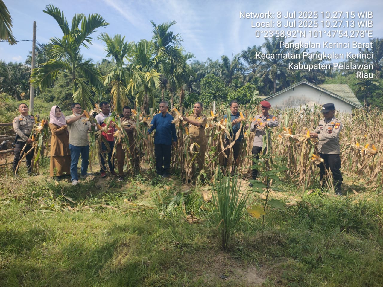 Polsek Bandar Sei Kijang & PT JPSK Panen Jagung Pipil Dukung Program Ketahanan Pangan Nasional 2025