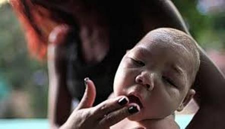 8,2 Juta Pelajar Indonesia di AS Bebas Virus Zika