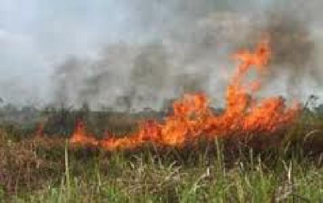  Satelit Modis Deteksi 12 Titik Panas Riau