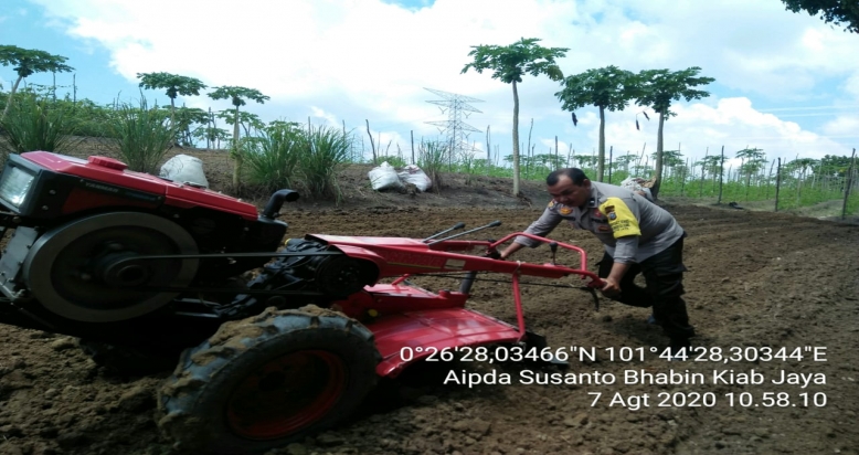 Bhabinkamtibmas Polsek Bandar Seikijang Dampingi Petani Tanam Sayur Sayuran