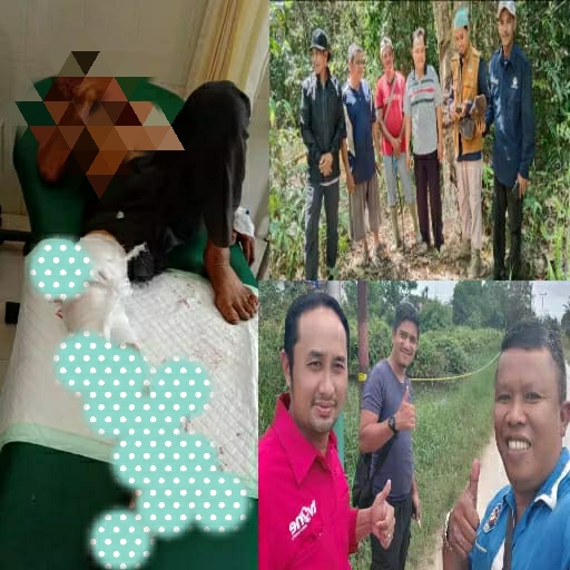 Binatang Buas Beruang Serang Warga Pelalawan Saat Buang Air Kecil