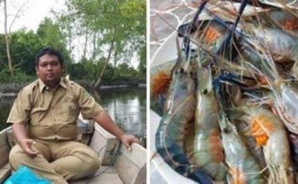 Budidayakan Udang Galah Sangat Menjanjikan Dirohil