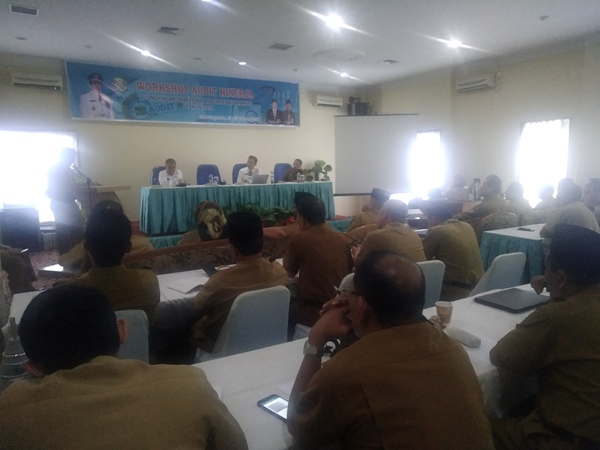 Sekda Rohul Buka Workshop Audit Kinerja APIP