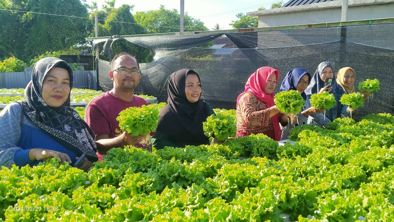 Tingkatkan Ekonomi Keluarga, TP PKK Labuhan Tangga Besar Pelajari Cara Penanaman Sistem Hidroponik