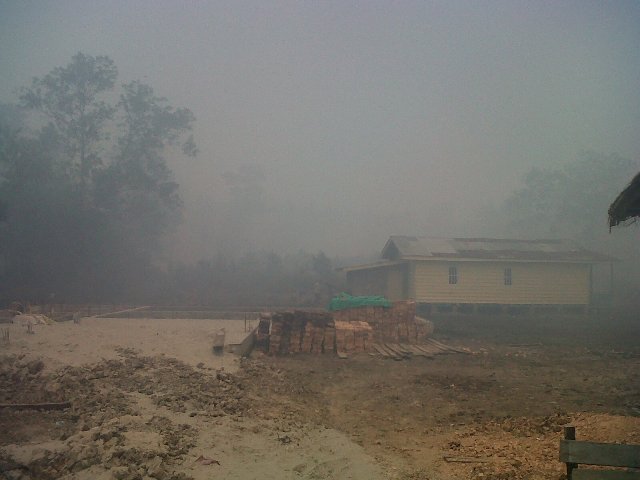 Api Muncul Lagi Membakar Lahan di Desa Kelapati Bengkalis