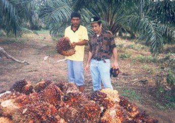 Strategi Percepatan Pembangunan Daerah Berbasis Sumber daya Lokal Untuk Meningkatkan Kesejahteraan Rakyat 