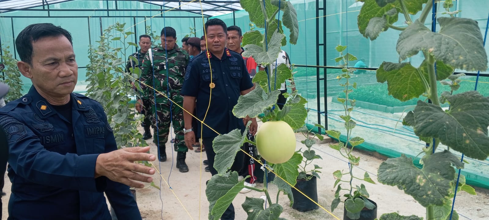 Perkuat Sinergi dan Ketahanan Pangan, Kodim 0321 Rohil Tinjau Kebun Melon Dan Sayuran Lainnya Bersama WBP Lapas Bagansiapiapi