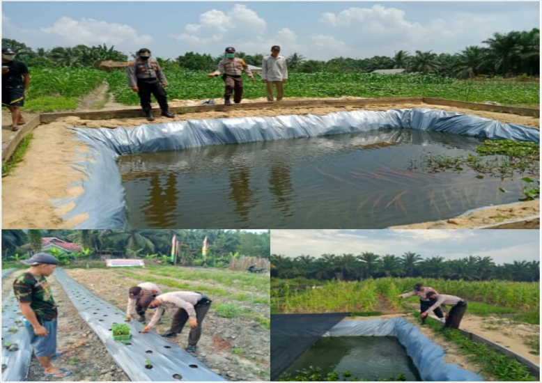 Jaga Kampung Polsek Kerumutan Membina Kelompok Tani Dengan Bercocok Tanam