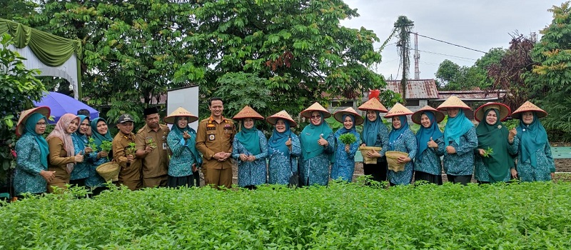 Dipimpin Raja Rilla Muflihun, TP PKK Pekanbaru Lakukan Gerakan Tanam Cabai Serentak di KWT Cemara