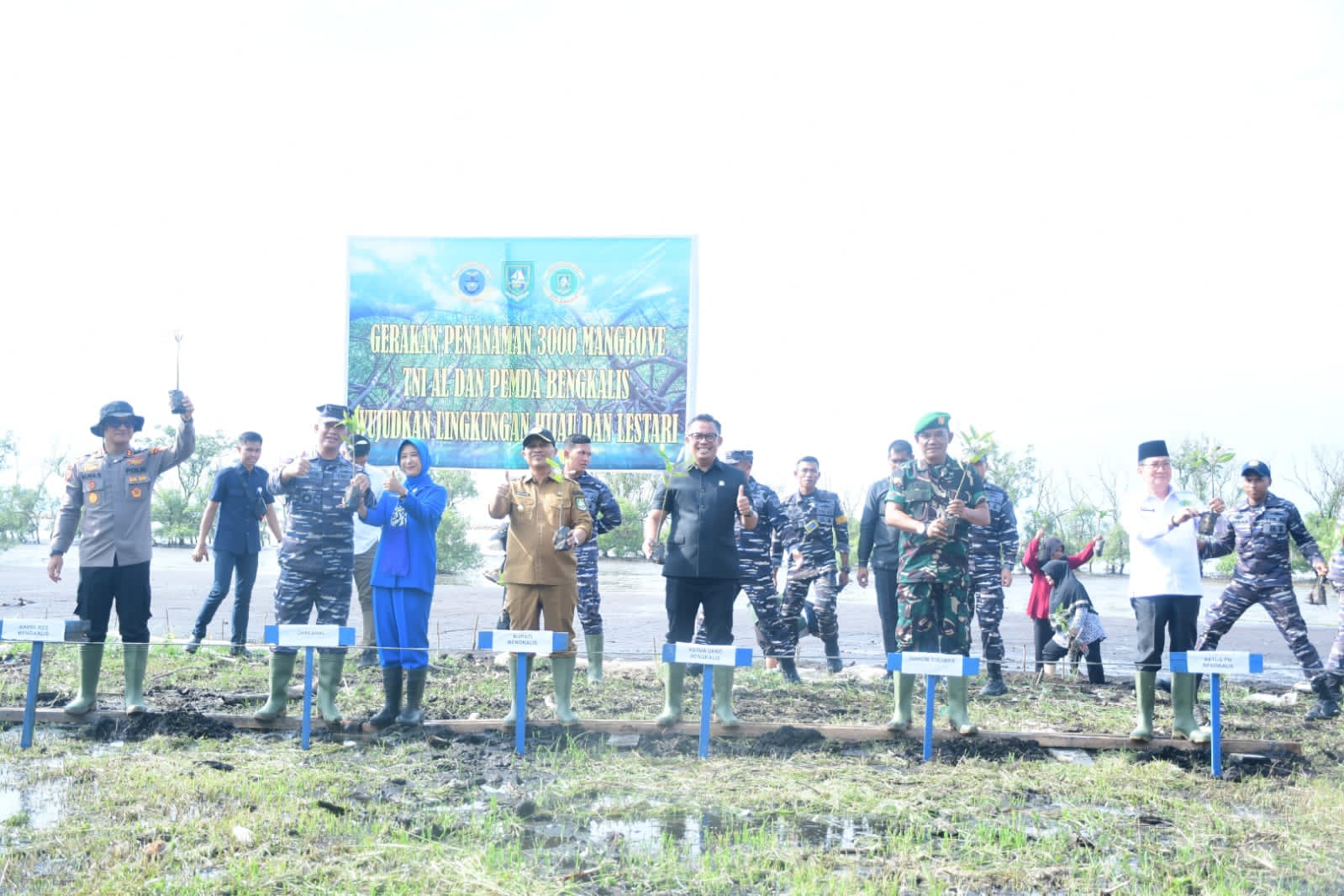 Wabup Bengkalis dan Komandan Lanal Dumai Tanam Mangrove di Pantai Muntai
