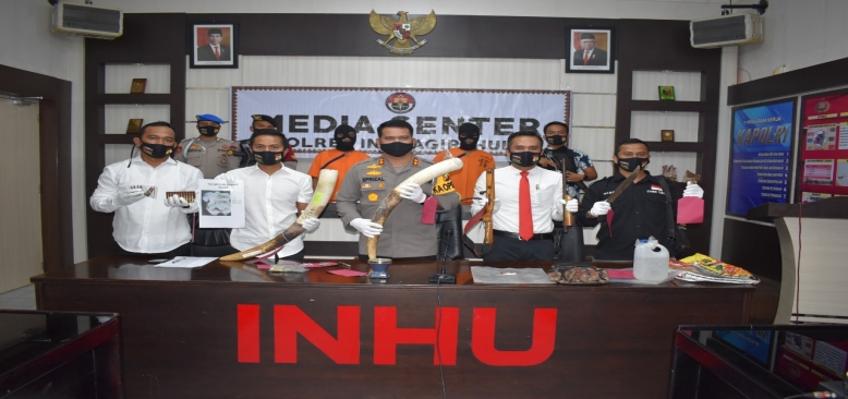 Polisi Buru Pelaku Utama Pembunuhan Gajah di Inhu, Dua Tersangka Residivis Sudah Ditangkap