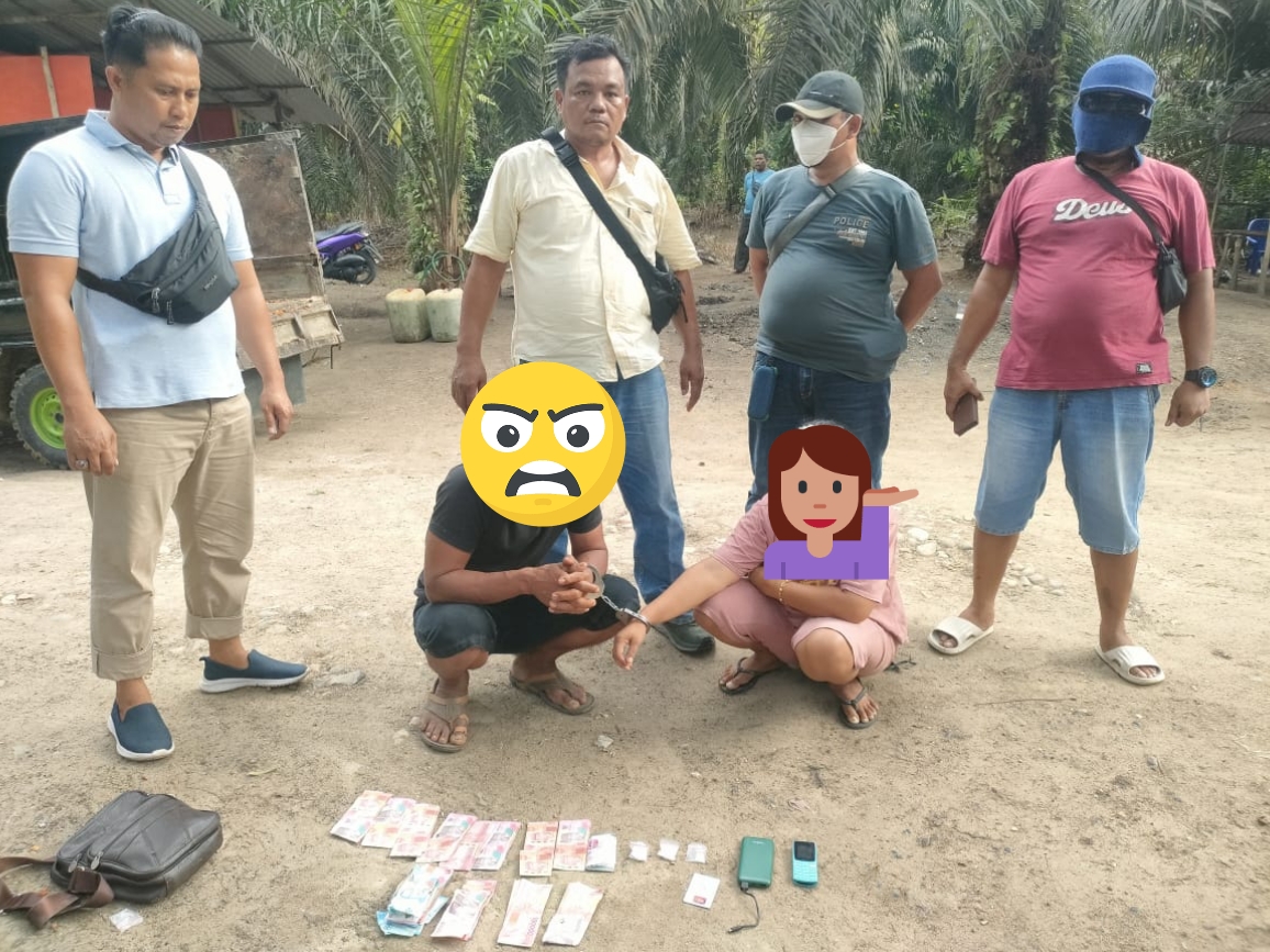 Kodim 0313/KPR Tangkap Bandar Narkoba di Perkebunan Sawit