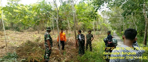   Areal Bekas Terbakar Dipantau TNI,BPBD dan MPA Patroli Karlahut di Kecamatan Bengkalis 