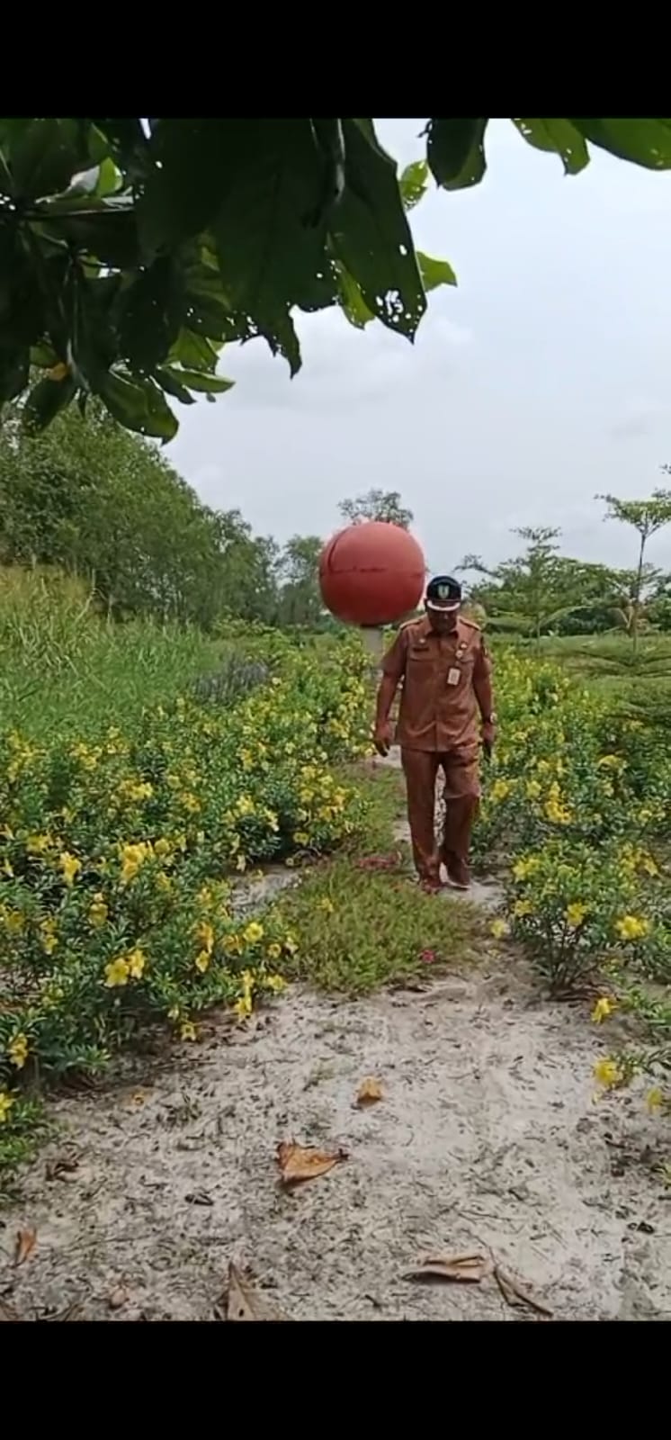 Taman Jembatan Pedamaran l Dijadikan Sebagai RTH dan Tujuan Wisata Alternatif Bagi Masyarakat