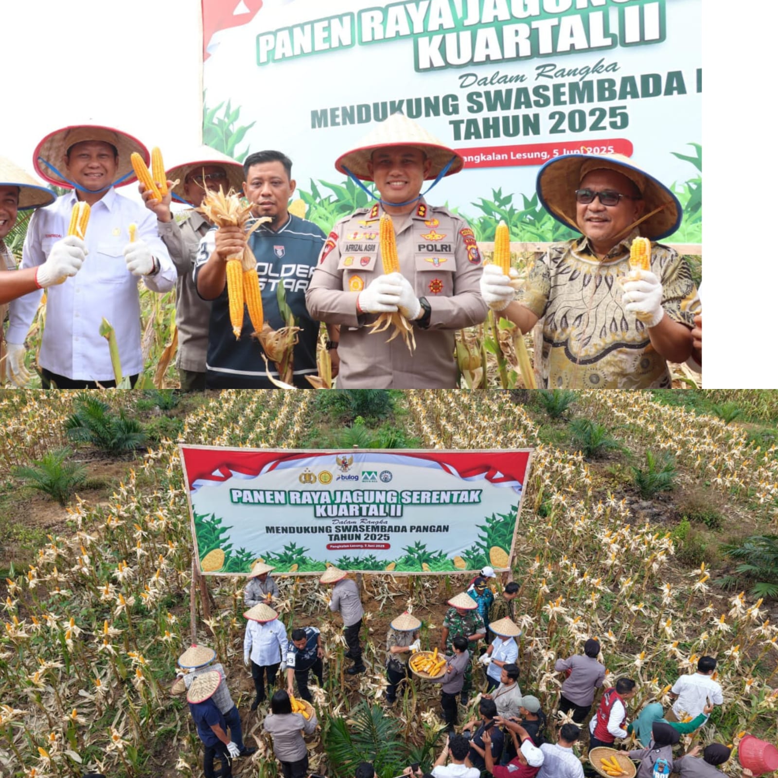 Kapolres Pelalawan Hadiri Panen Raya Jagung Serentak di PT Musim Mas: Dukung Ketahanan Pangan Nasional 2025