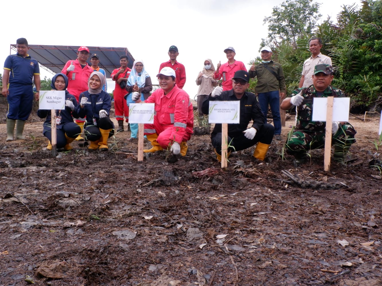 PT Imbang Tata Alam Tanam 5.100 Bibit Mangrove di Kecamatan Merbau