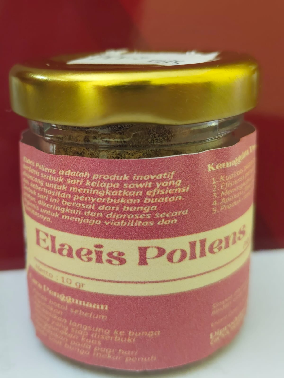 Salmiyati, MPd, PhD dan Trio Pollen Luncurkan “Elaeis Pollens Product” untuk Revolusi Penyerbukan Buatan