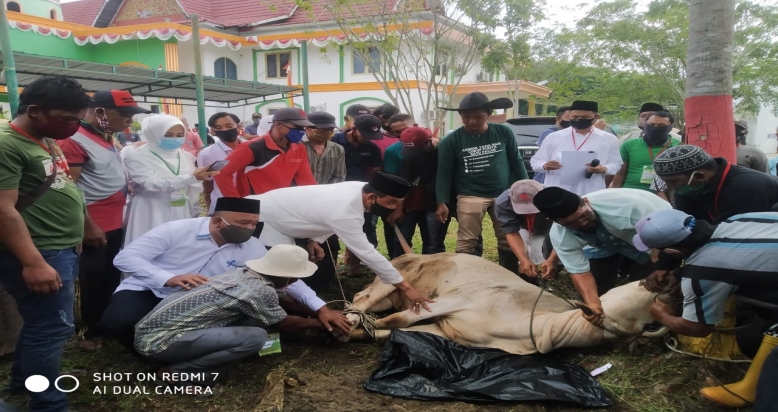 Qurban Idul Adha, Bupati Dan BPKAD Sumbangkan 1 Ekor Sapi Kepada DLH Rohil