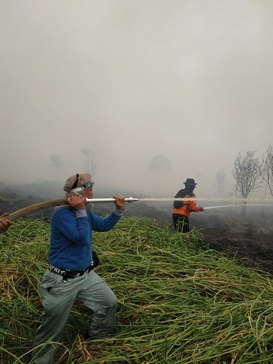 Bupati Pelalawan HM Harris Dipanggil Bareskrim Saksi Dugaan Kasus Karlahut PT Adei