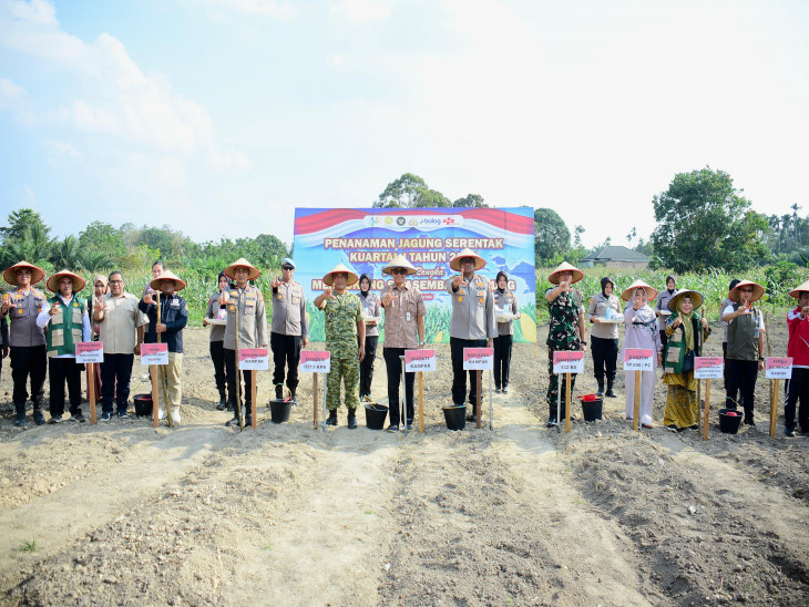Pemkab Kampar dan Polres Kampar Laksanakan Penanaman Jagung Pipil Serentak di Desa Ridan Permai