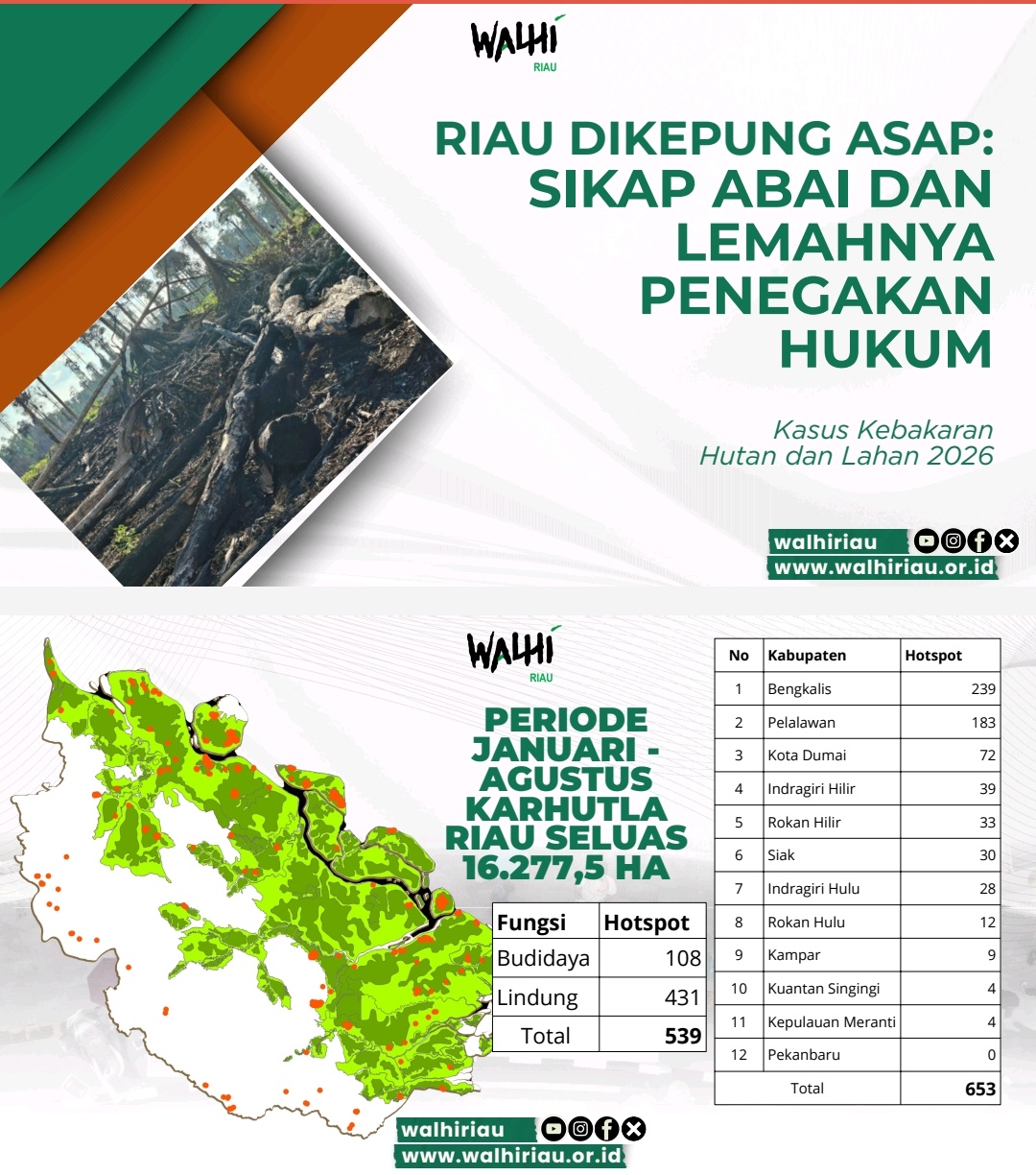 WALHI Soroti Karhutla 613 Hektare di Pelalawan, Minta Pemerintah Usut Konsesi PT Arara Abadi
