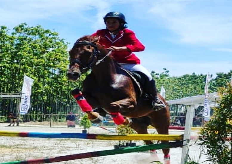 PORDAS Pekanbaru Bersama Horse Power Tambusai Telah Menggelar Kompetisi Show Jumping Kuda di Lapangan Horse Power
