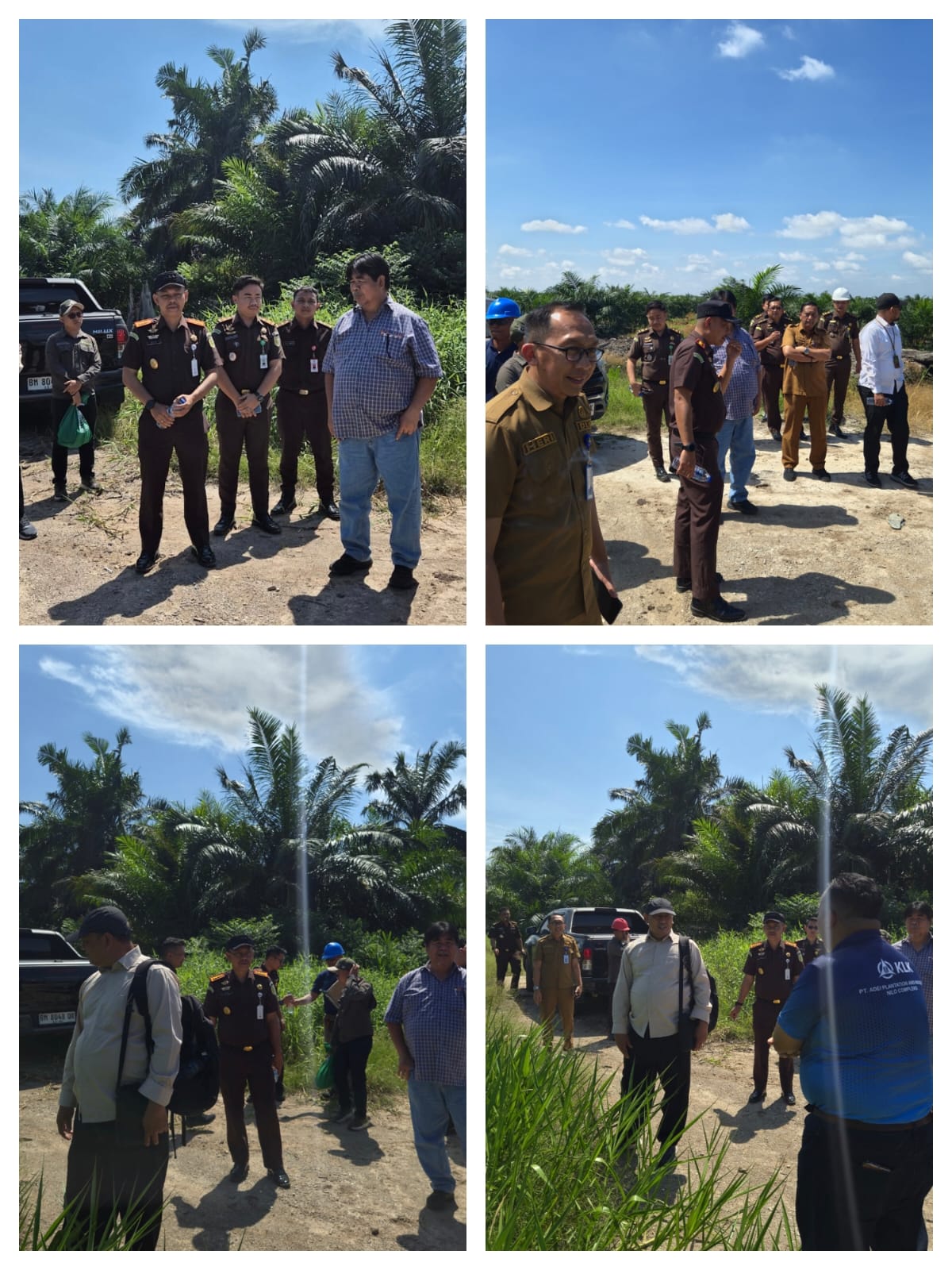 Kejaksaan Negeri Pelalawan Cek Langsung Lahan PT Adei Plantation, Fokus Pemulihan Ekosistem Pasca Kebakaran