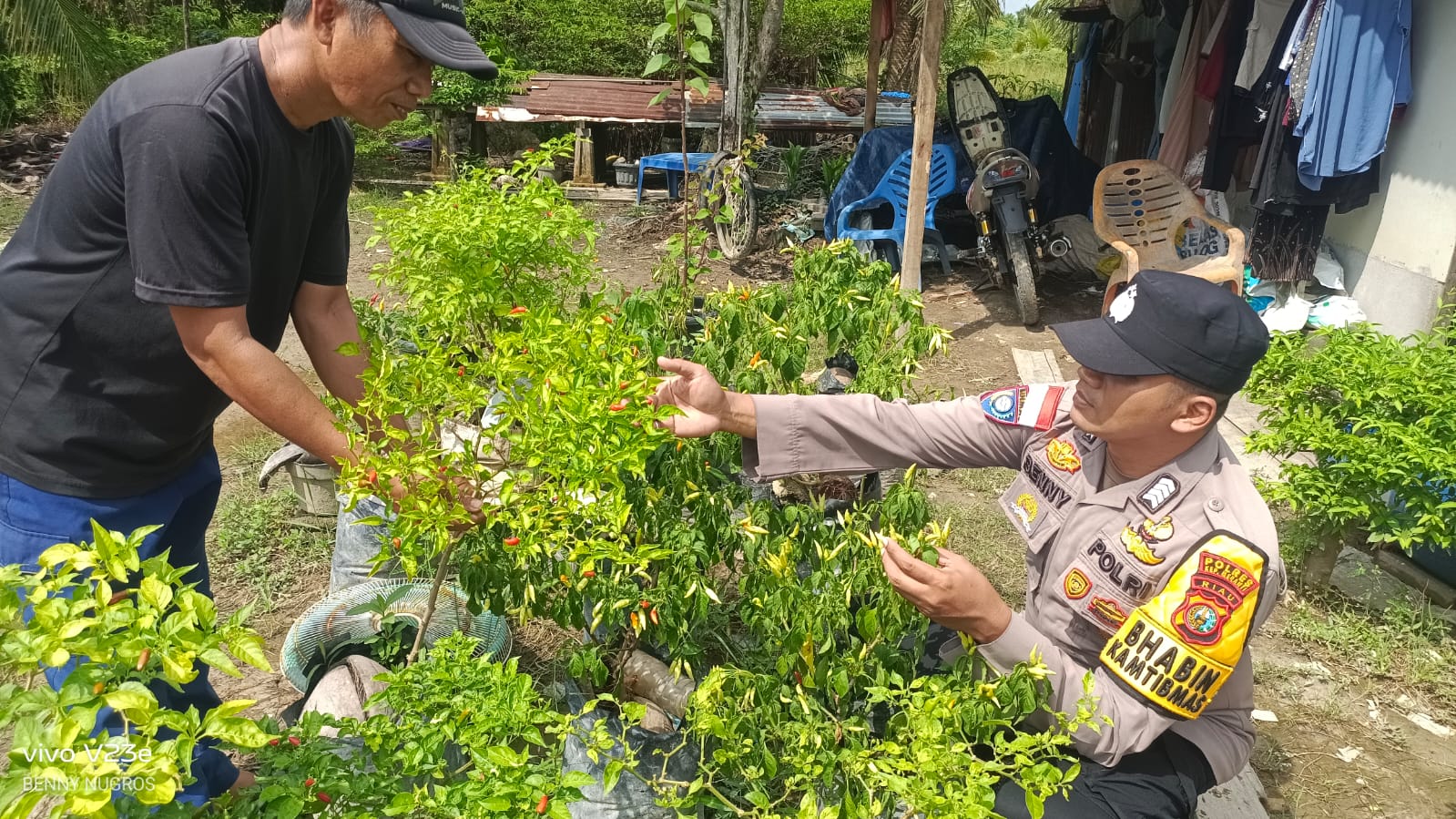 Dukung Ketahanan Pangan, Bhabinkamtibmas Polsek Rangsang Barat Tinjau Perkebunan Cabai Warga