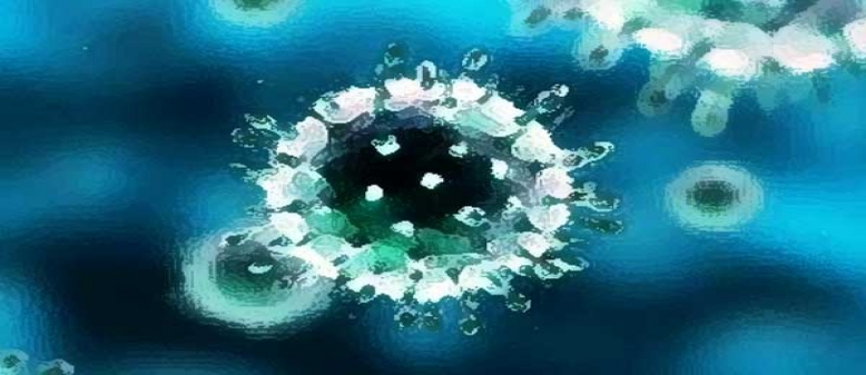 Dince Safrina: Informasi Isolasi 52 orang pegawai Puskesmas Rumbai Pesisir Tidak Benar