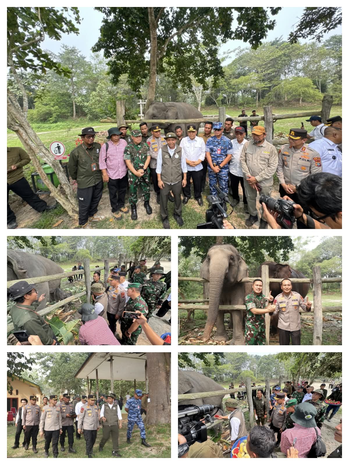 Kelahiran Ganesha di TNTN Jadi Kabar Bahagia, Menteri Kehutanan Raja Juli Antoni Umumkan Nama Bayi Gajah