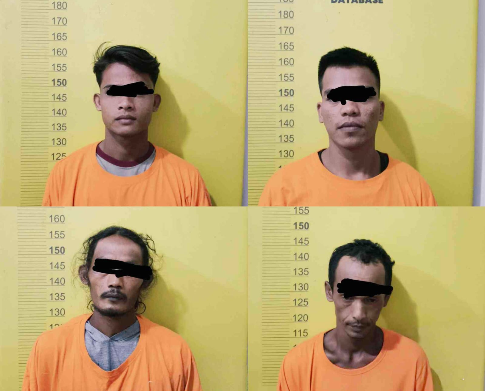 Pencuri Sawit Ditangkap di Blok D6 Kebun Pesawon Raya