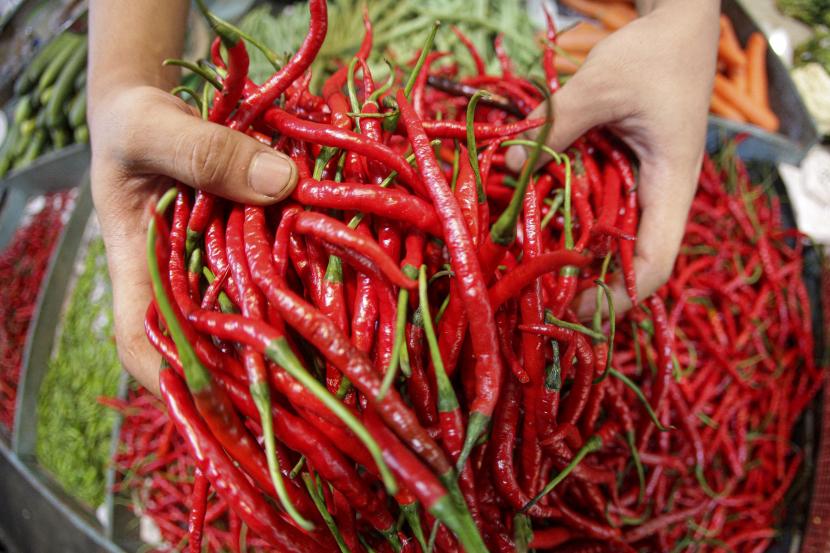 Atasi Cabe Mahal, DPTPH Riau Menggelar Pasar Tani di Halaman Riau Hortimart