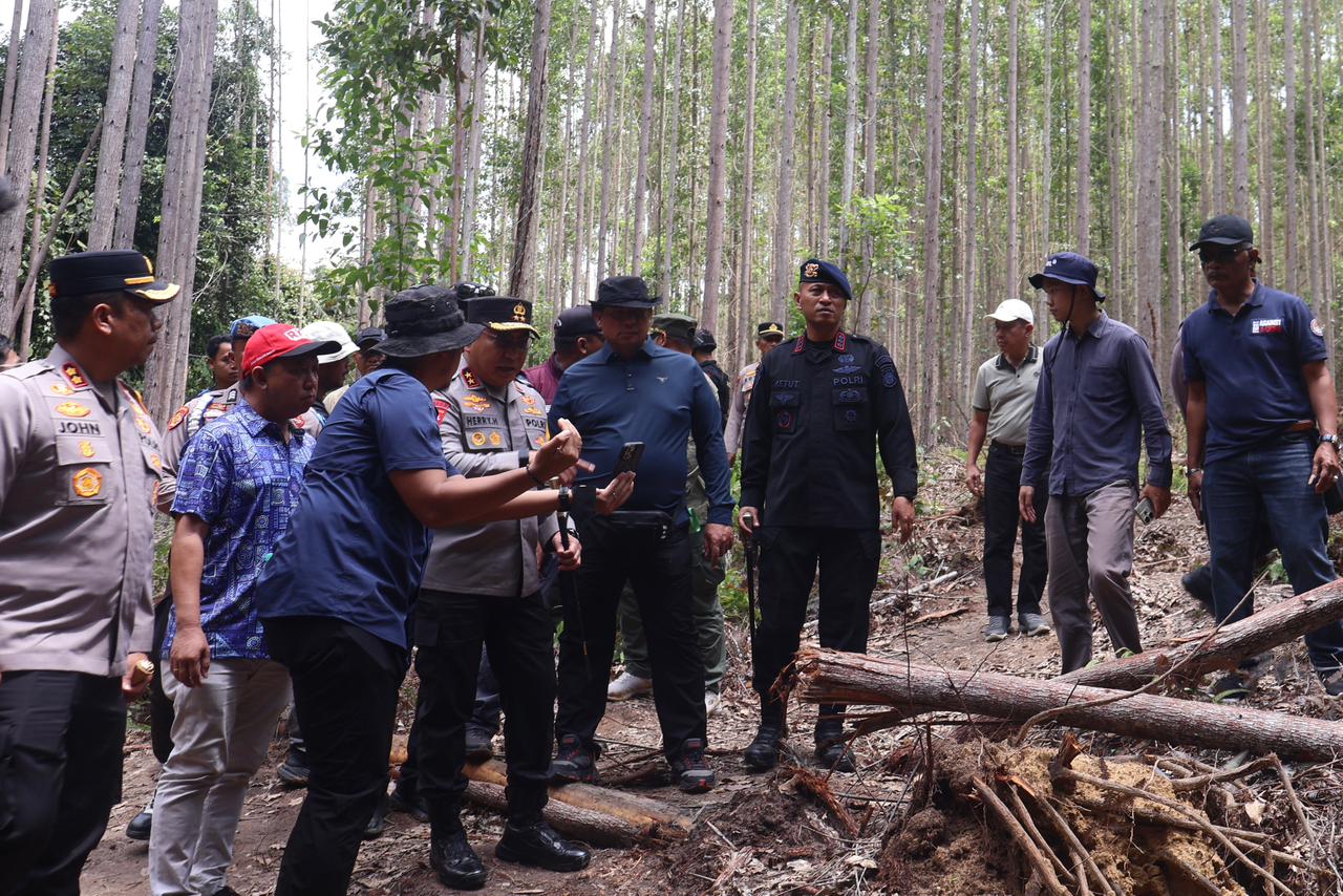 Gajah Dibunuh Penembak Profesional, Kapolda Riau Turun Langsung