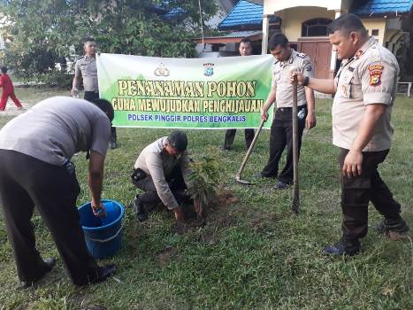 Gerakan Polisi Tanam Pohon Di Ikuti Polsek Pinggir 