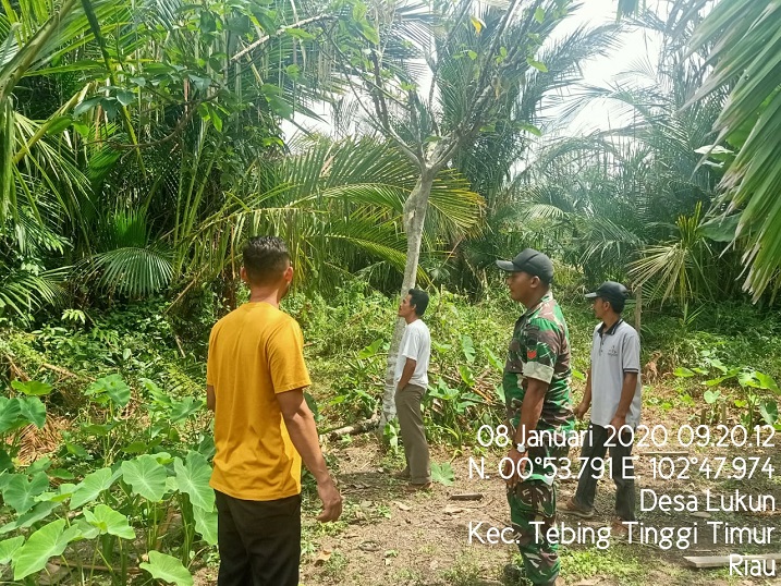 Sosialisasi Karhutla, Babinsa Koramil 02/ Tebing TinggiÂ  Pengecekan Lokasi Rawan Api