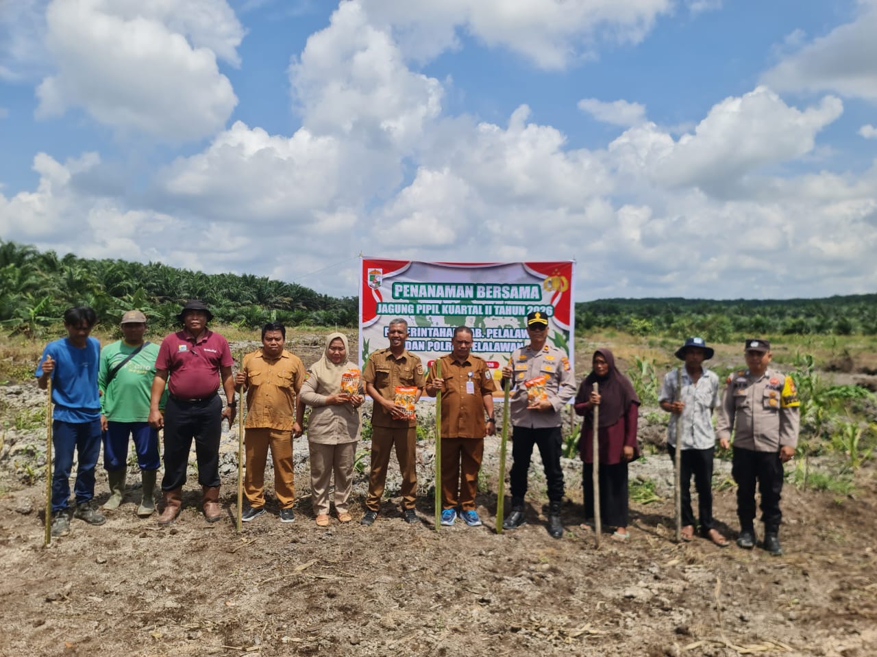 Kolaborasi Pangan, 4 Hektare Jagung Ditanam di Pangkalan Kuras