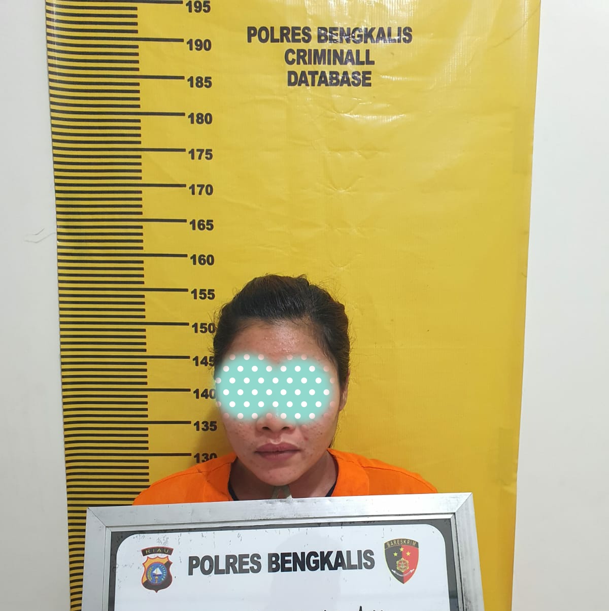 Seorang IRT  Diduga Nyambi Jual Sabu di Duri Polres Bengkalis Temukan 3.08 gram Sabu Dirumahnya