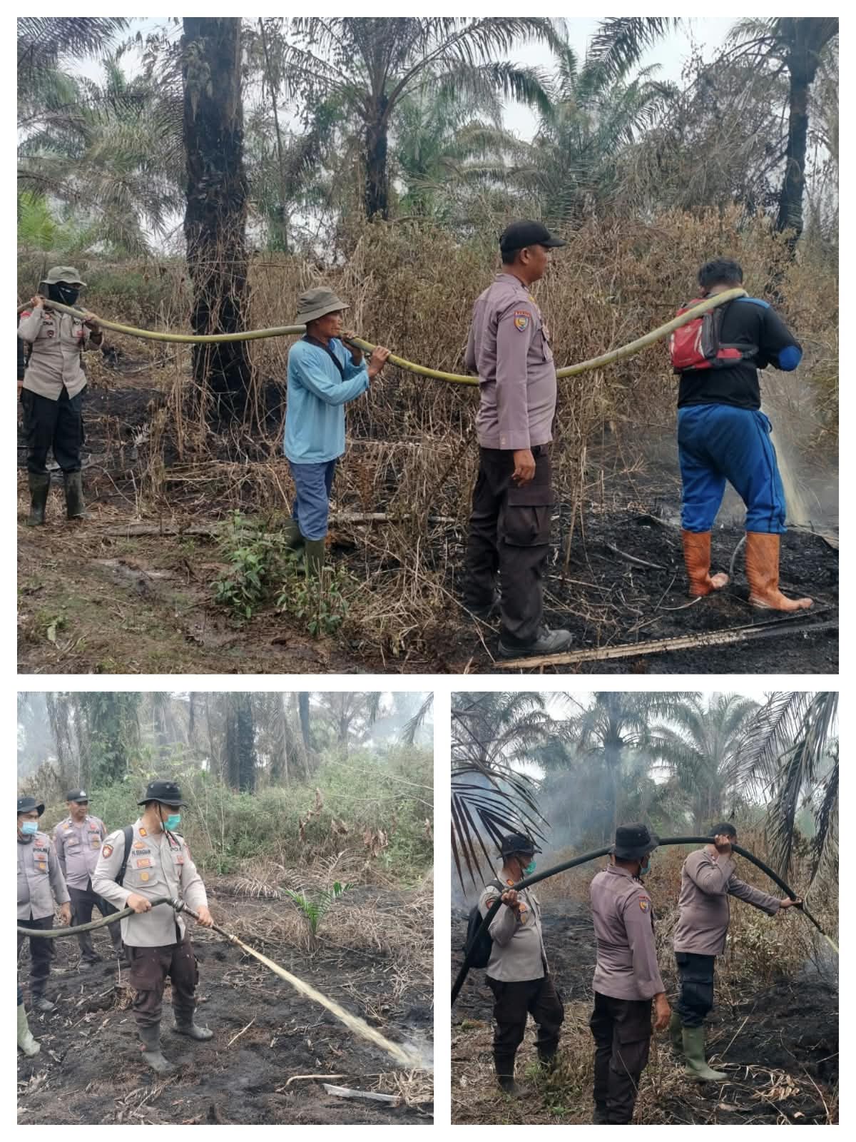Tak Terpantau Dashboard Lancang Kuning, Polsek Pangkalan Kerinci Gerak Cepat Jinakkan Karhutla