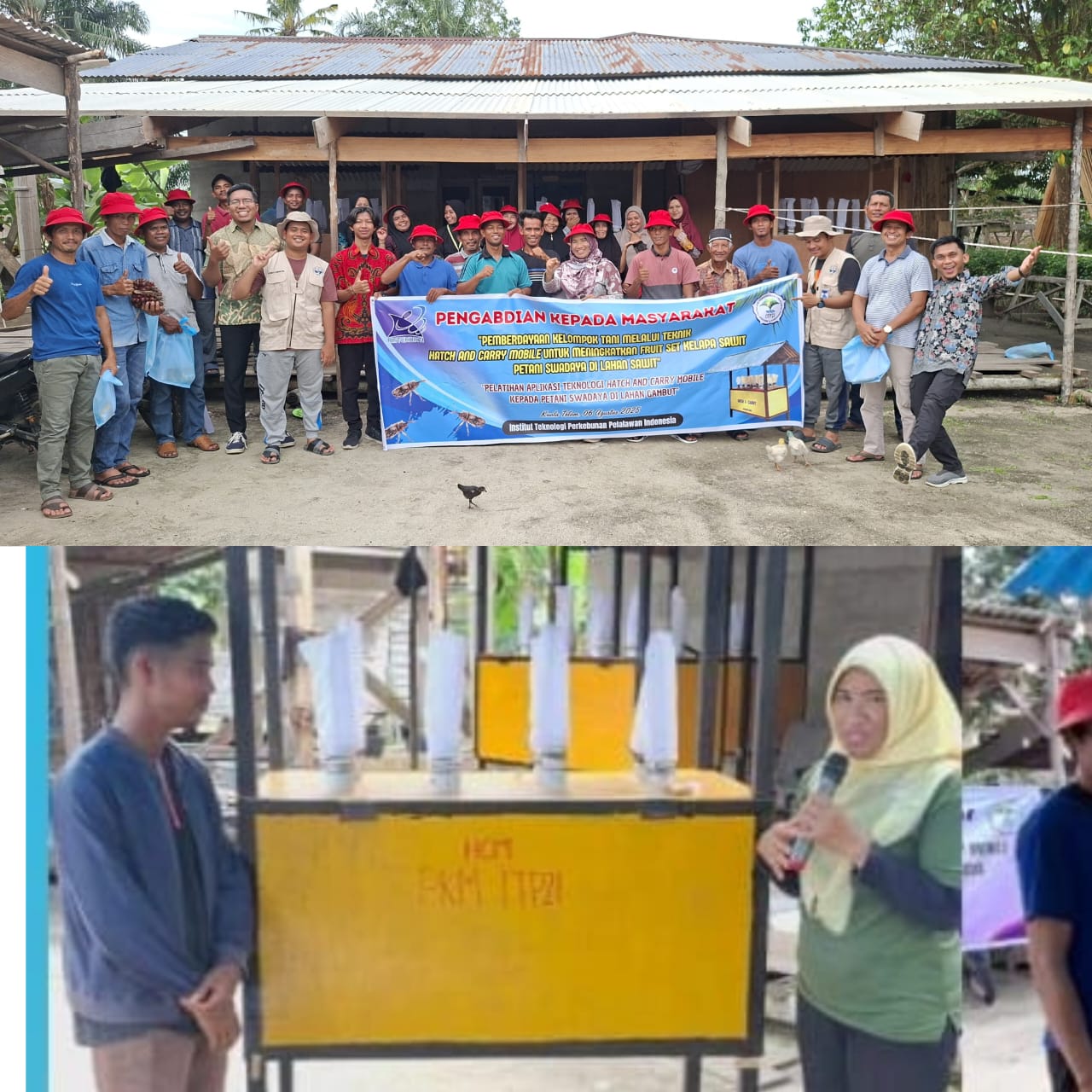 ITP2I Dorong Inovasi Petani Sawit Swadaya di Lahan Gambut Lewat Teknik Hatch and Carry Mobile