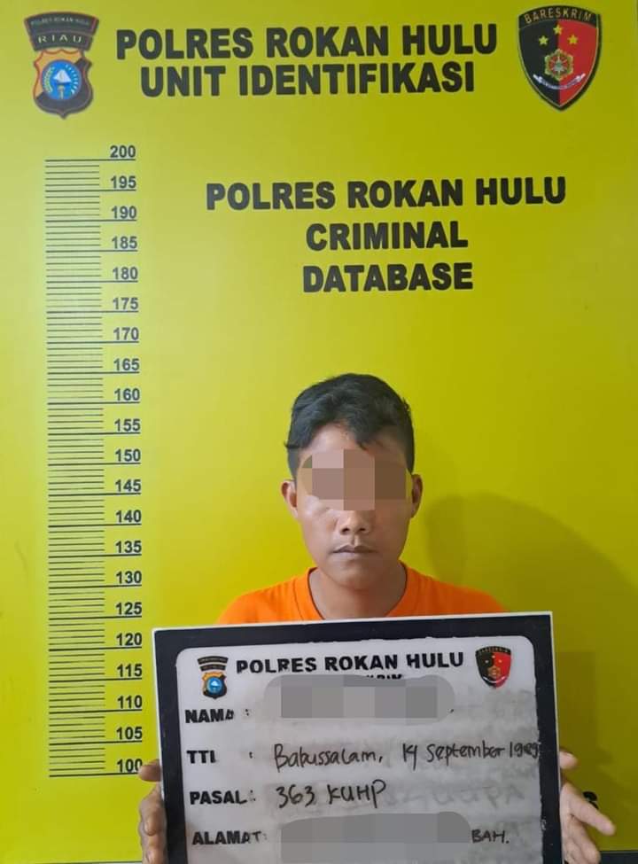Polres Rohul Rohul Tangkap Seorang Pria  Diduga Maling Ranmor di Desa Pematang Berangan