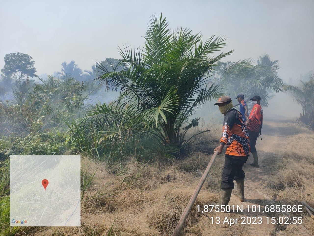 Tim Gabungan Masih Berupaya Melakukan Pemadaman 3 Kecamatan di Kabupaten Bengkalis