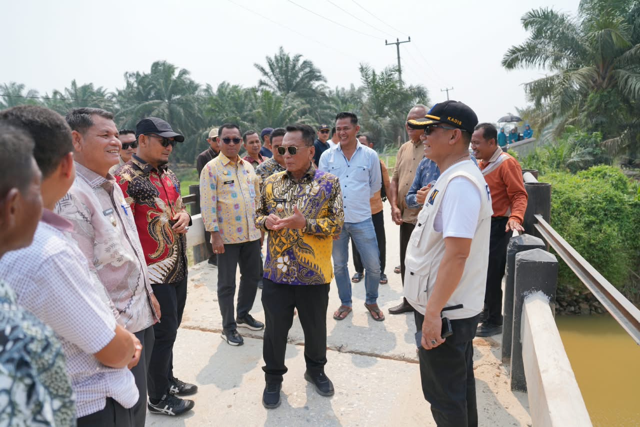 Bupati Bistamam Tinjau Kondisi Jembatan Sungai Tapah, Serap Aspirasi Masyarakat