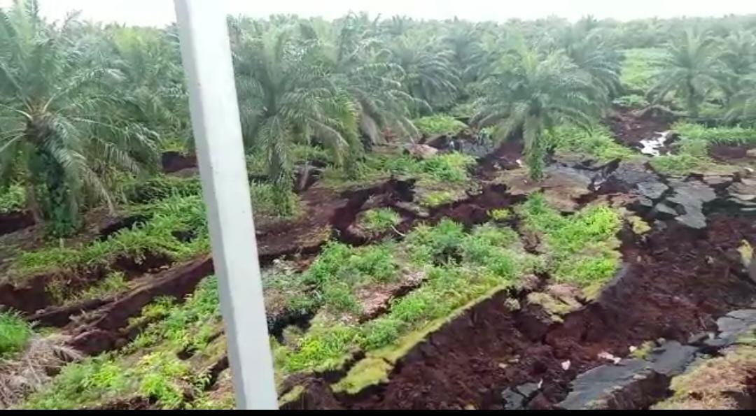 Tanah Longsor di Desa Simpang Ayam Dinas PUPR Bengkalis Akan Berkoordinasi dengan Pemerintah Pusat