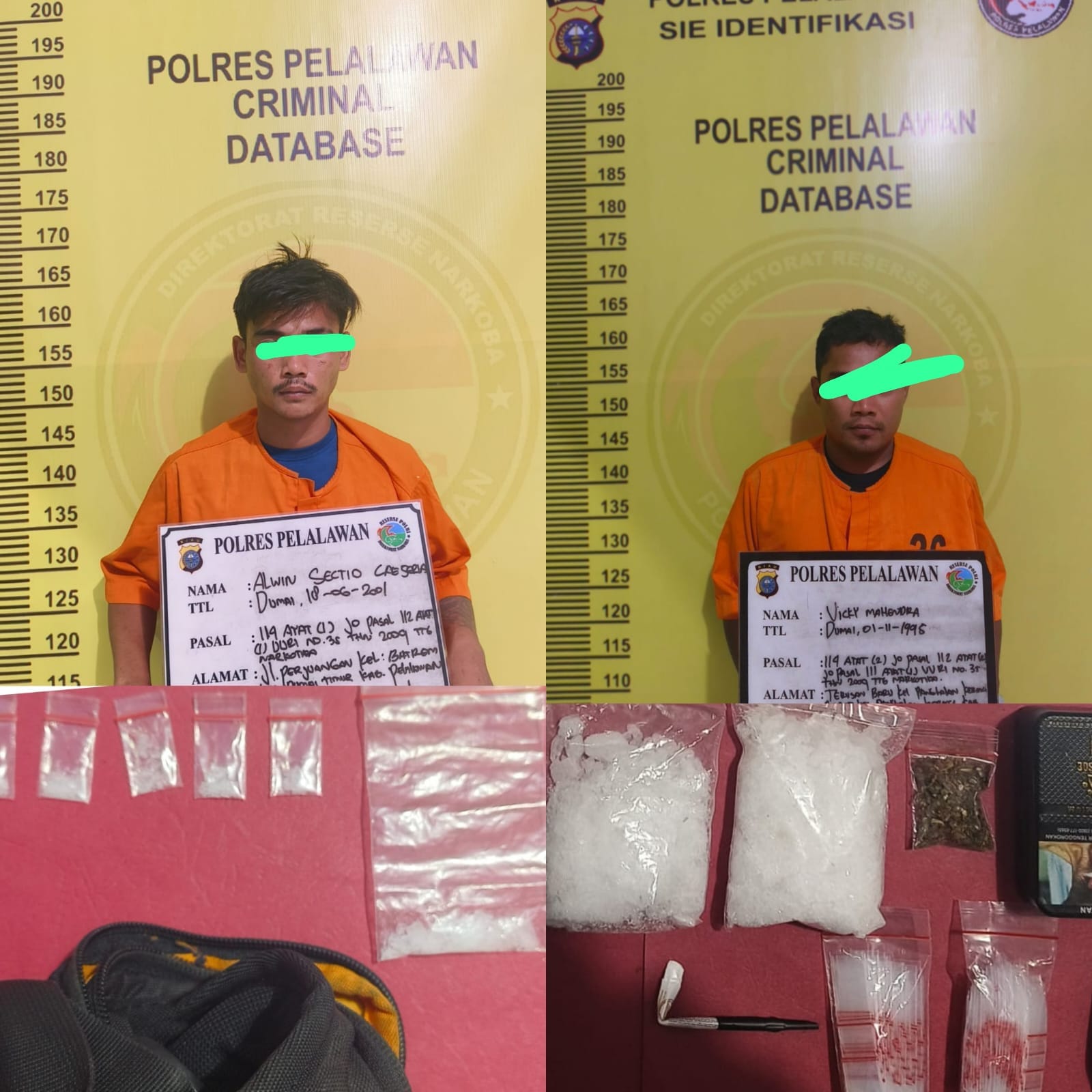 Polres Pelalawan Gulung Sindikat Narkoba di Pangkalan Kerinci, Dua Pengedar Diamankan