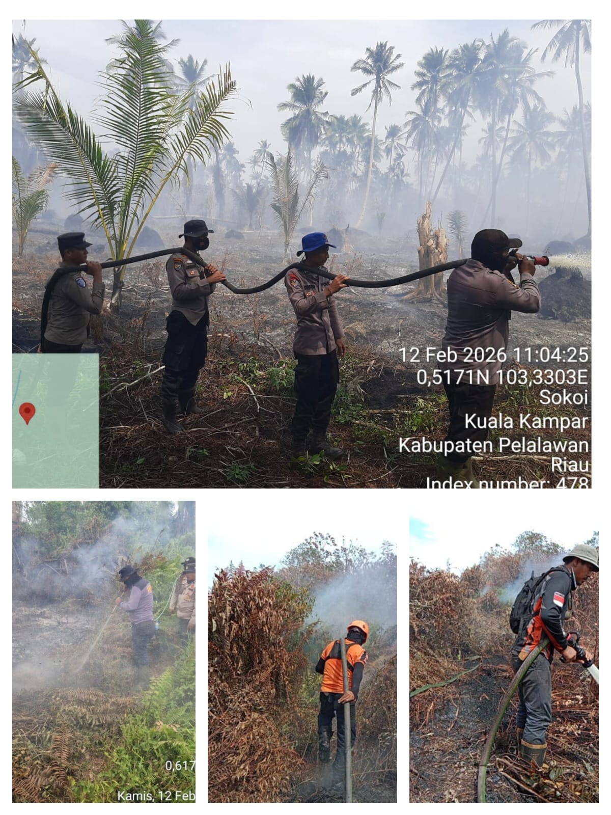 Karhutla Menggila, Ratusan Hektare Terbakar di Pulau Terluar Pelalawan