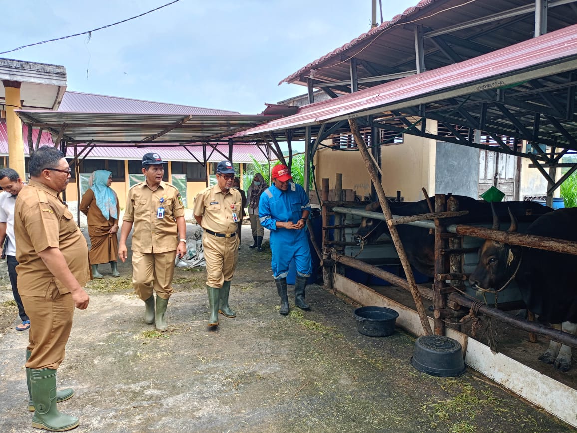 Terus Lakukan Terobosan, Riau Pernah Pasok Semen Beku Sapi Jantan Untuk Empat Provinsi