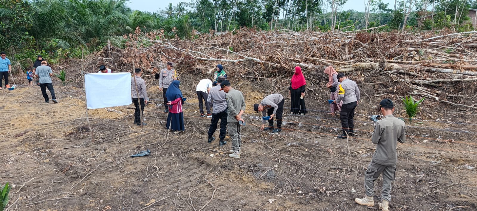 Polsek Bunut dan KWT Nusa Indah Tanam Jagung Hibrida 2 Hektare, Perkuat Swasembada Pangan dari Desa Merbau