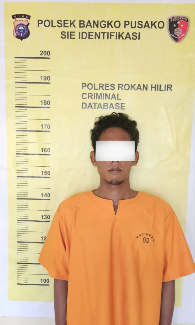 Sita 23,29 Gram Sabu, Polsek Bangko Pusako Ringkus Dua Pengedar Sabu