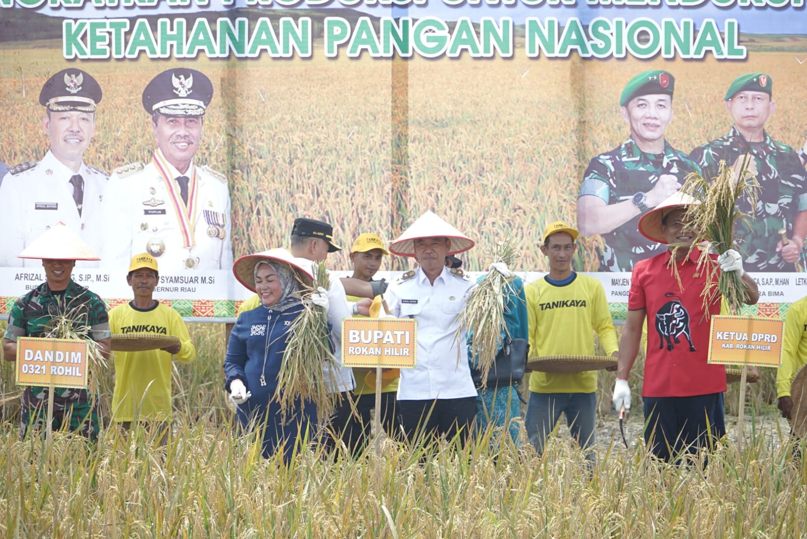 Bupati Afrizal Sintong Hadiri Panen Raya Padi Binaan Kodim 0321 Rohil