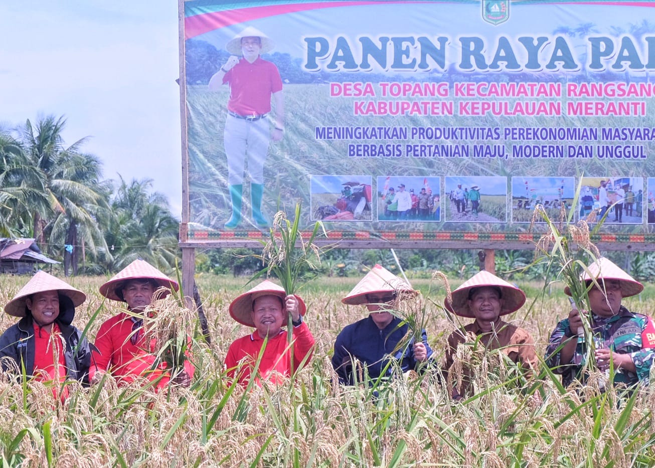 Sekda Meranti Panen Raya Padi di Desa Topang
